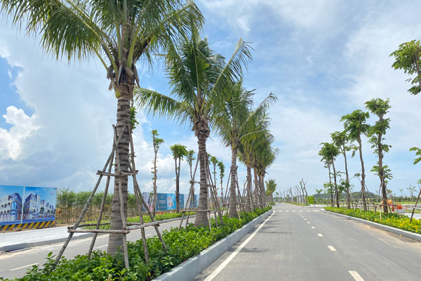 Các tuyến đường nội khu trong dự án Venezia Beach Bình Châu cuối tháng 8/2021
