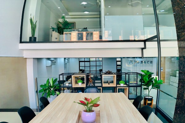 Văn phòng được trang trí cây xanh xung quanh tạo một không gian làm việc thân thiện, gần gũi với thiên nhiên